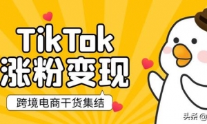 纯干货！跨境电商必看！一文带你跑通TikTok涨粉变现全流程