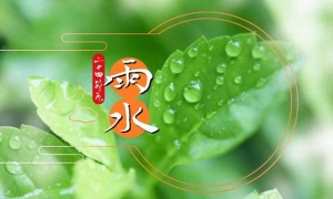 雨水节气的饮食养生，既要避湿又要多喝水