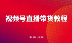 《2024视频号110页直播带货教程》