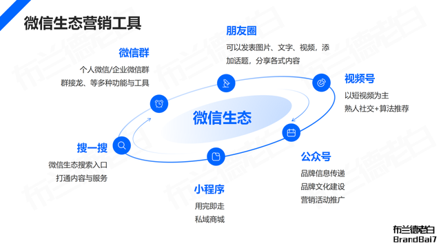 微信生态全域营销，视频号补齐最后一环-5.jpg