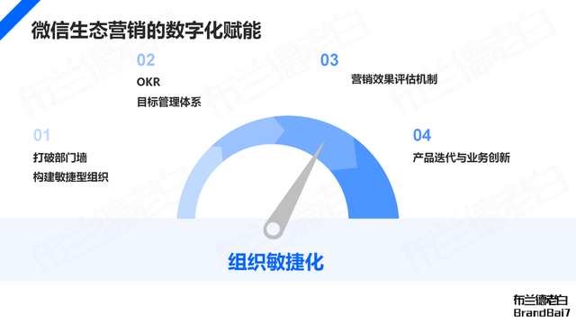 微信生态全域营销，视频号补齐最后一环-37.jpg