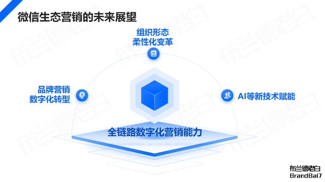 微信生态全域营销，视频号补齐最后一环-41.jpg