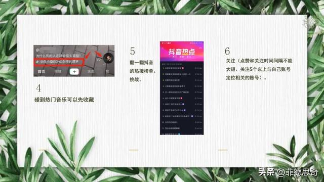 抖音全流程运营培训教程(PPT)-8.jpg