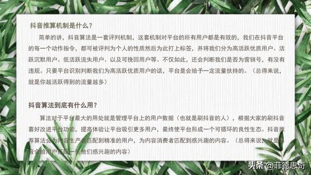 抖音全流程运营培训教程(PPT)-28.jpg