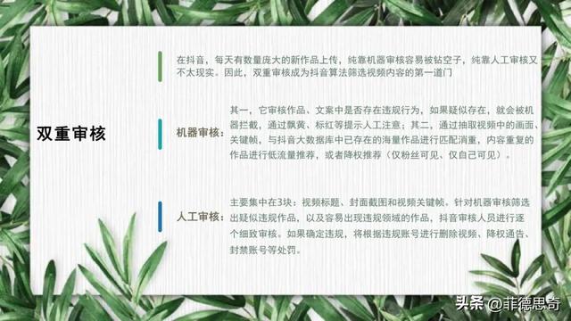 抖音全流程运营培训教程(PPT)-29.jpg