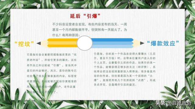 抖音全流程运营培训教程(PPT)-33.jpg