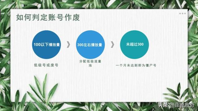 抖音全流程运营培训教程(PPT)-32.jpg