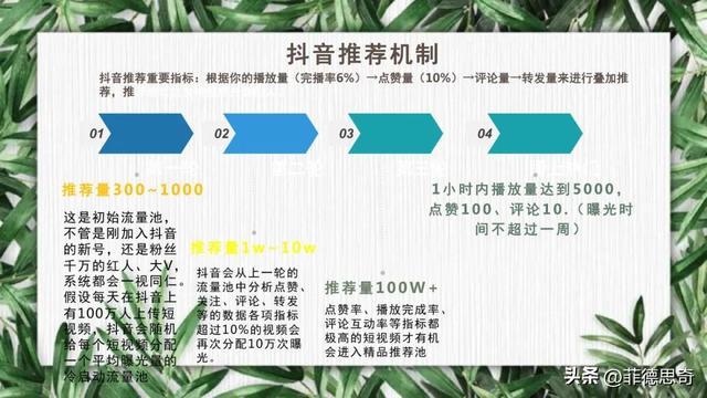 抖音全流程运营培训教程(PPT)-30.jpg