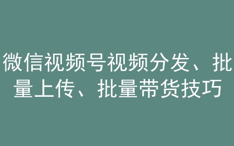 8-19|“老猫软件”微信视频号视频分发、批量上传、批量带货技巧-1.jpg