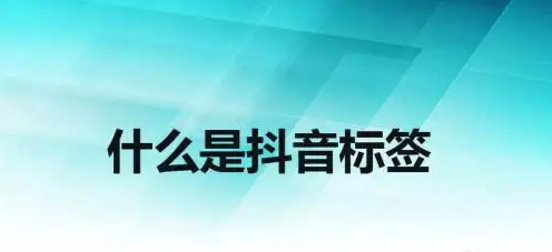 抖音新手入门之账号的定位、抖音号标签、如何选择要做的领域-2.jpg