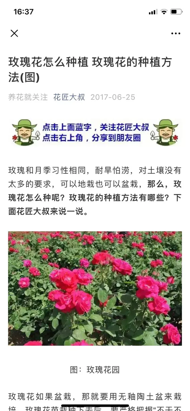 微信公众号SEO精准引流的技巧-3.jpg