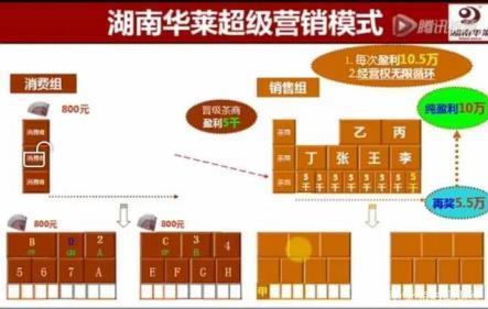 中国网：顶好的黑茶，被华莱公司传销了！-11.jpg