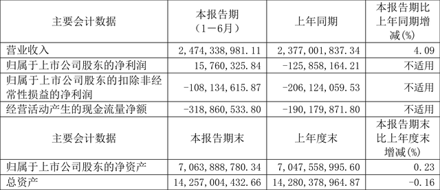 康美药业：2024年上半年盈利1576.03万元 同比扭亏-2.jpg