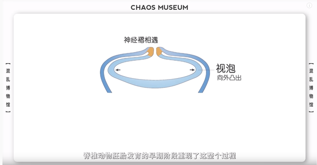 B站10个知识干货Up主推荐，宅在家就能涨姿势-9.jpg