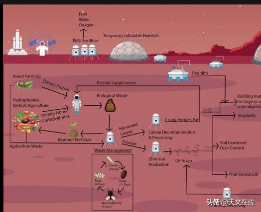 火星上的房屋？这种奇怪的生物材料 未来 或许可以用上？-4.jpg