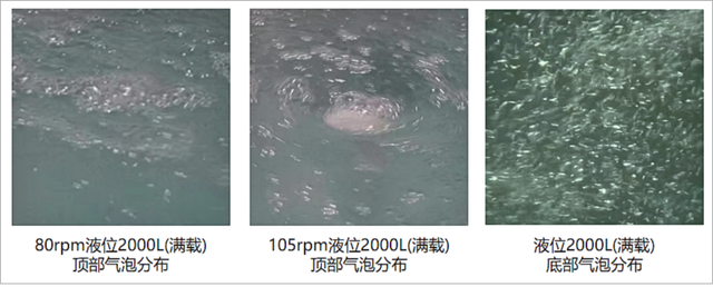 【富有匠心】一次性生物反应袋国产化的质量保障思考-4.jpg