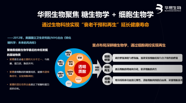 华熙生物赵燕：基于中国产业转化优势推动全球生命科学进步-3.jpg