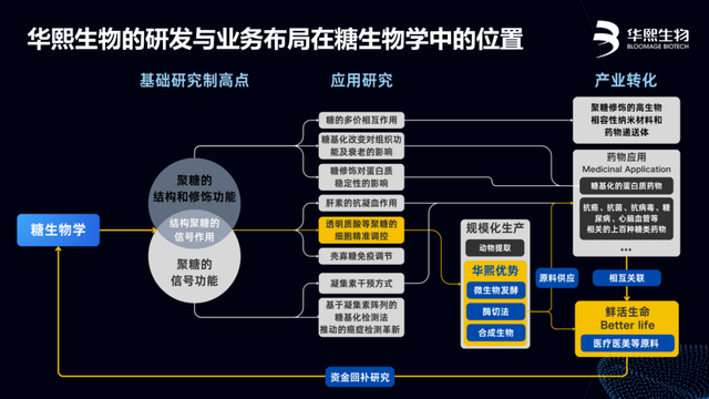 华熙生物赵燕：基于中国产业转化优势推动全球生命科学进步-4.jpg