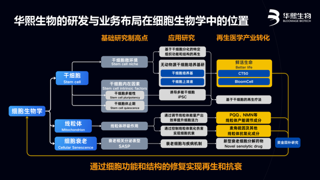 华熙生物赵燕：基于中国产业转化优势推动全球生命科学进步-5.jpg