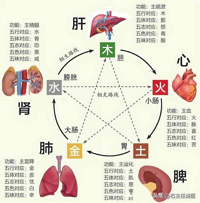 中医五脏养生法则：肝宜疏、心宜养、脾宜健、肺宜清、肾宜补-2.jpg