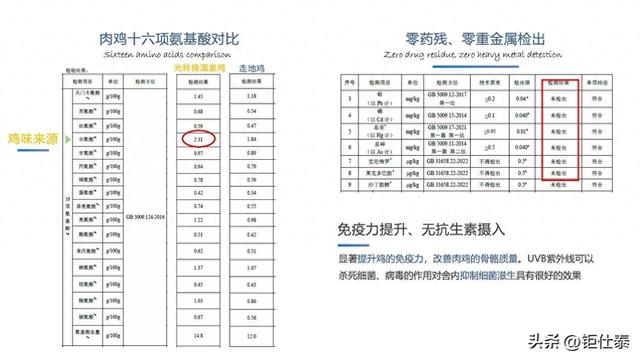 阳光鸡的养殖优势：阳光鸡标准化养殖VS普通走地鸡养殖-1.jpg