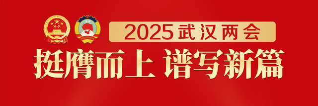 2024年，武汉光电子信息、生命健康等五大优势产业营收增长10%以上-1.jpg