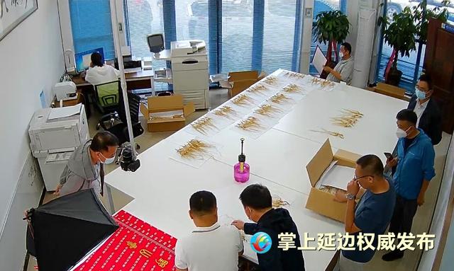 灵秀瑰宝 参韵延边 丨 五个维度看延边人参产业发展新机遇-10.jpg