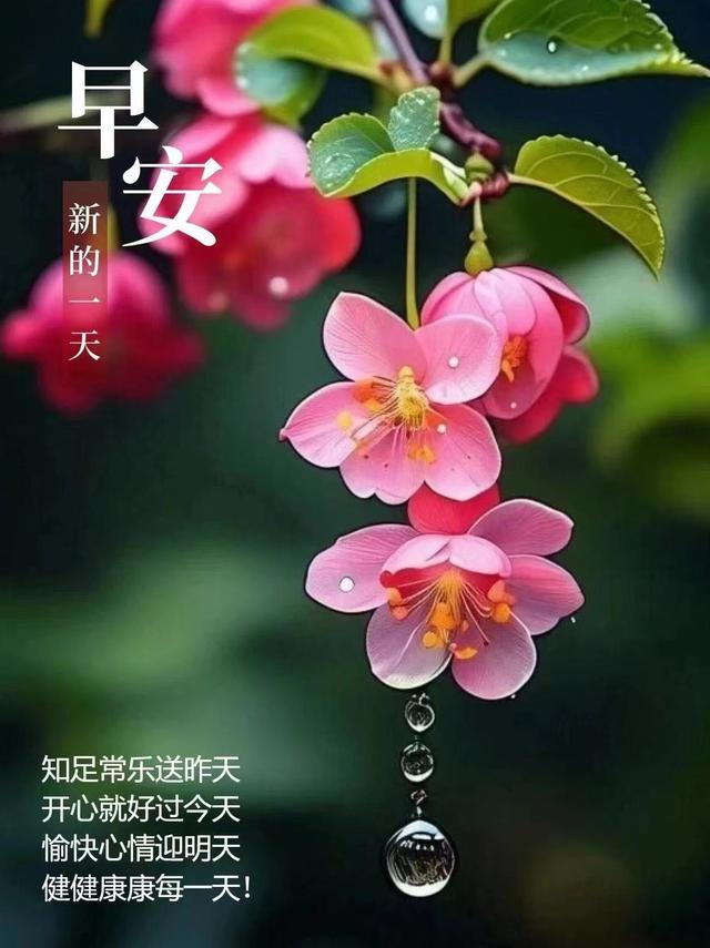 小论“阳光心态”(新年感言)-3.jpg